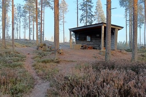 Gallery image 3